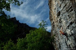 Trent Nelson  |  The Salt Lake Tribune Gordon Douglass climbs the Division Wall, Wednesday June 19, 2013 in American Fork Canyon.