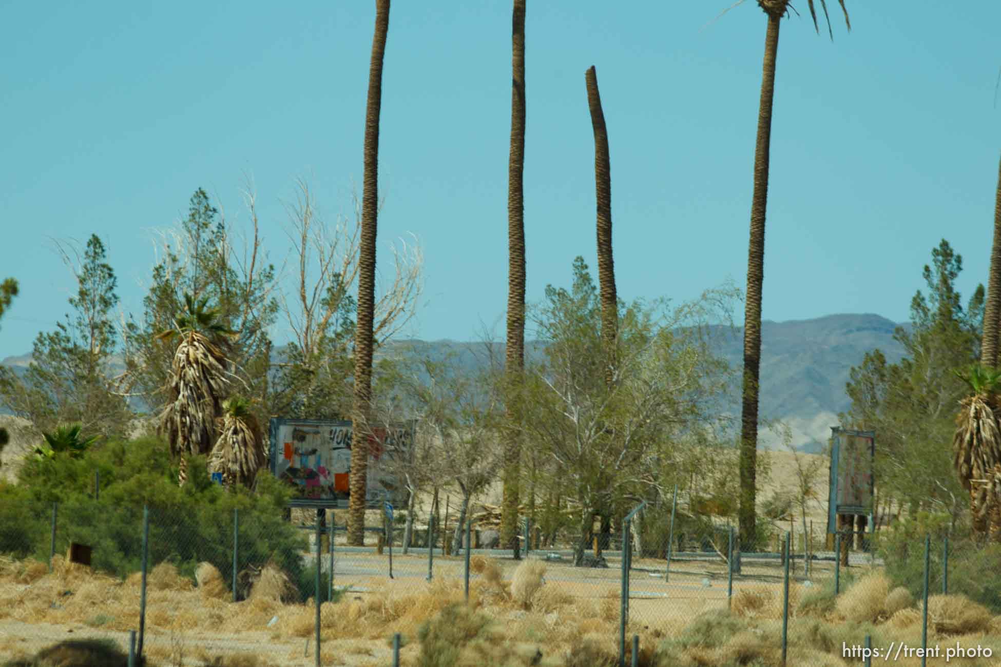 Canon EOS-1D Mark IV