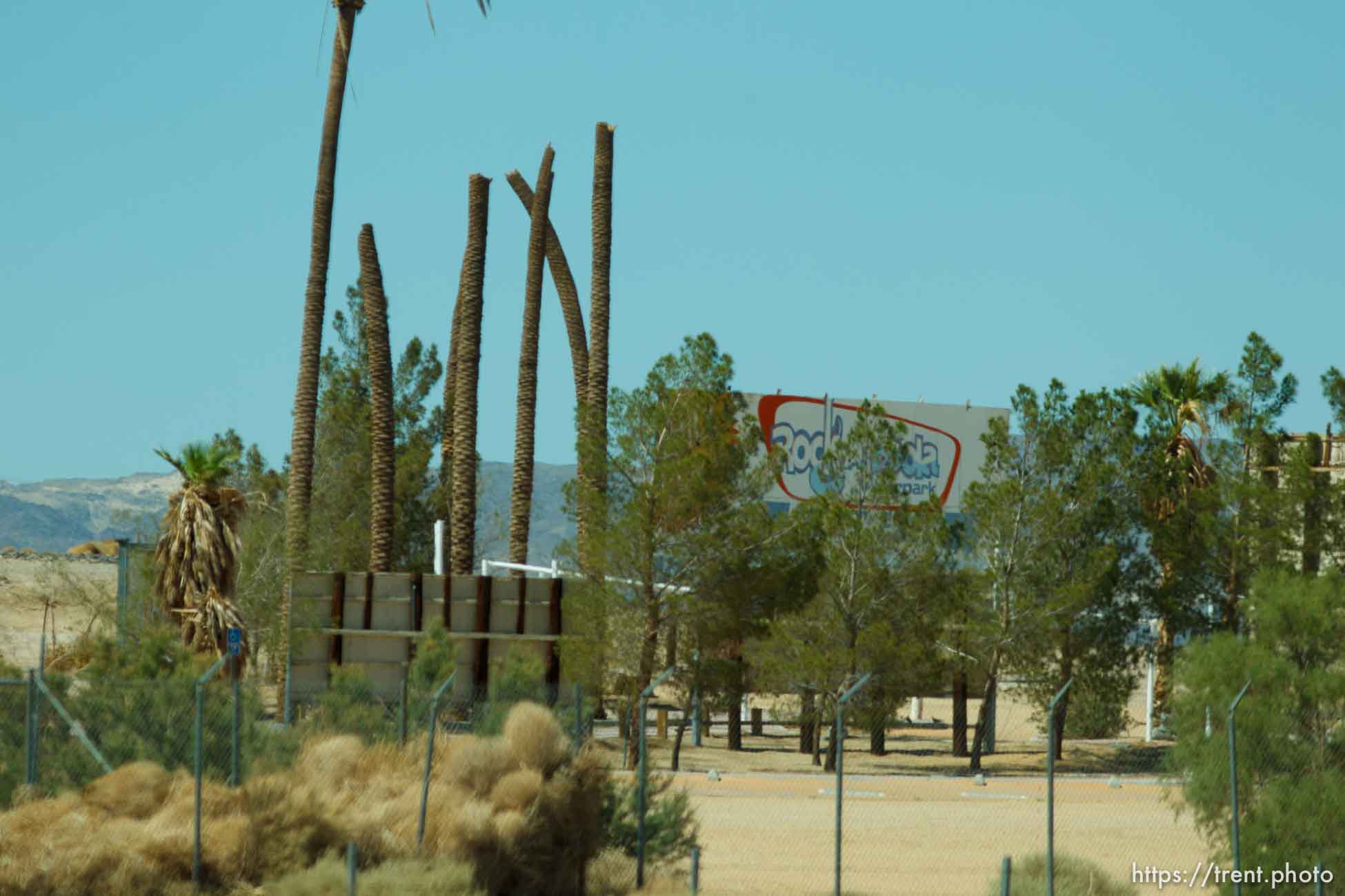 Canon EOS-1D Mark IV