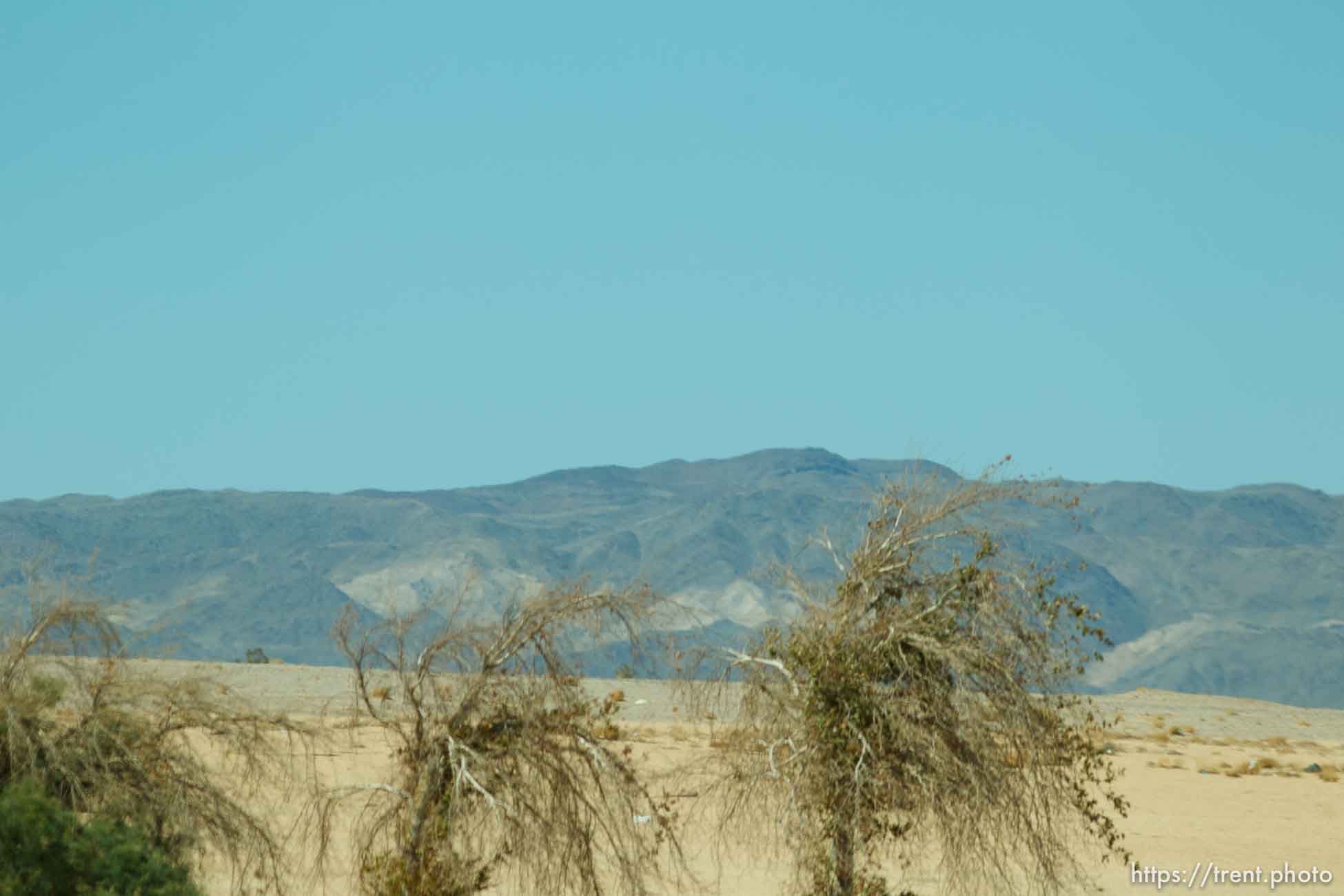 Canon EOS-1D Mark IV