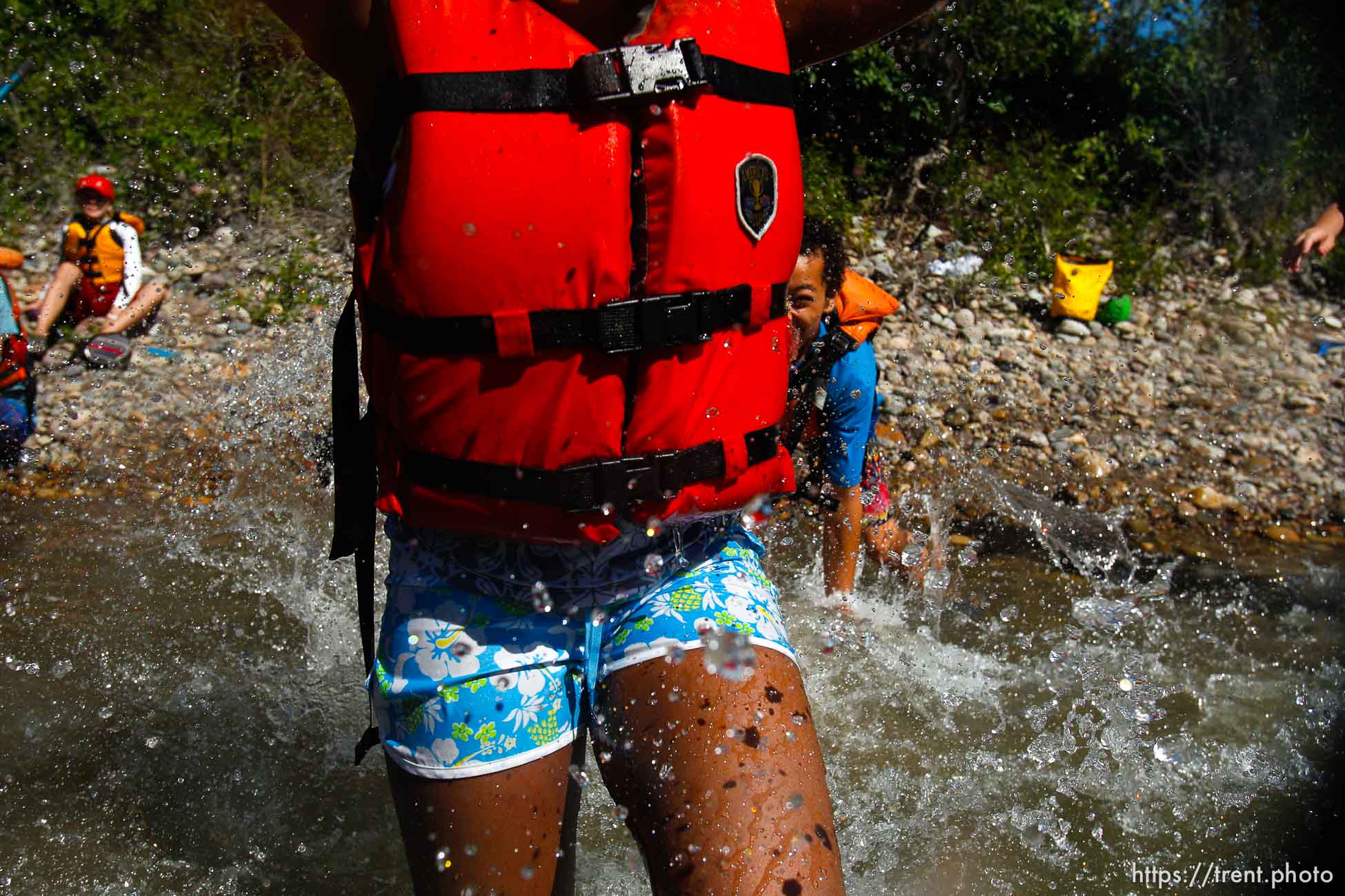 Canon EOS-1D Mark IV