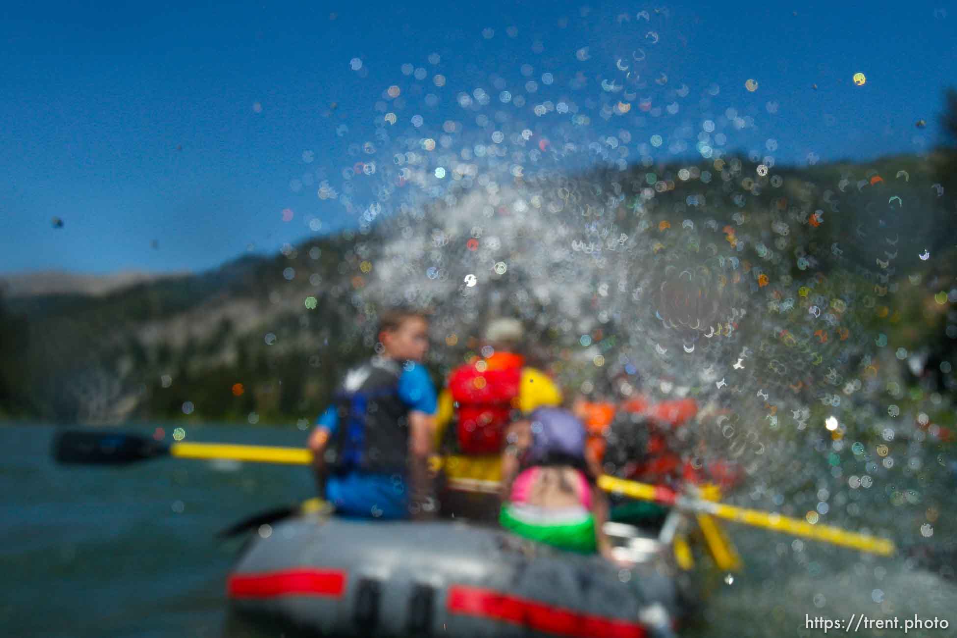 Canon EOS-1D Mark IV