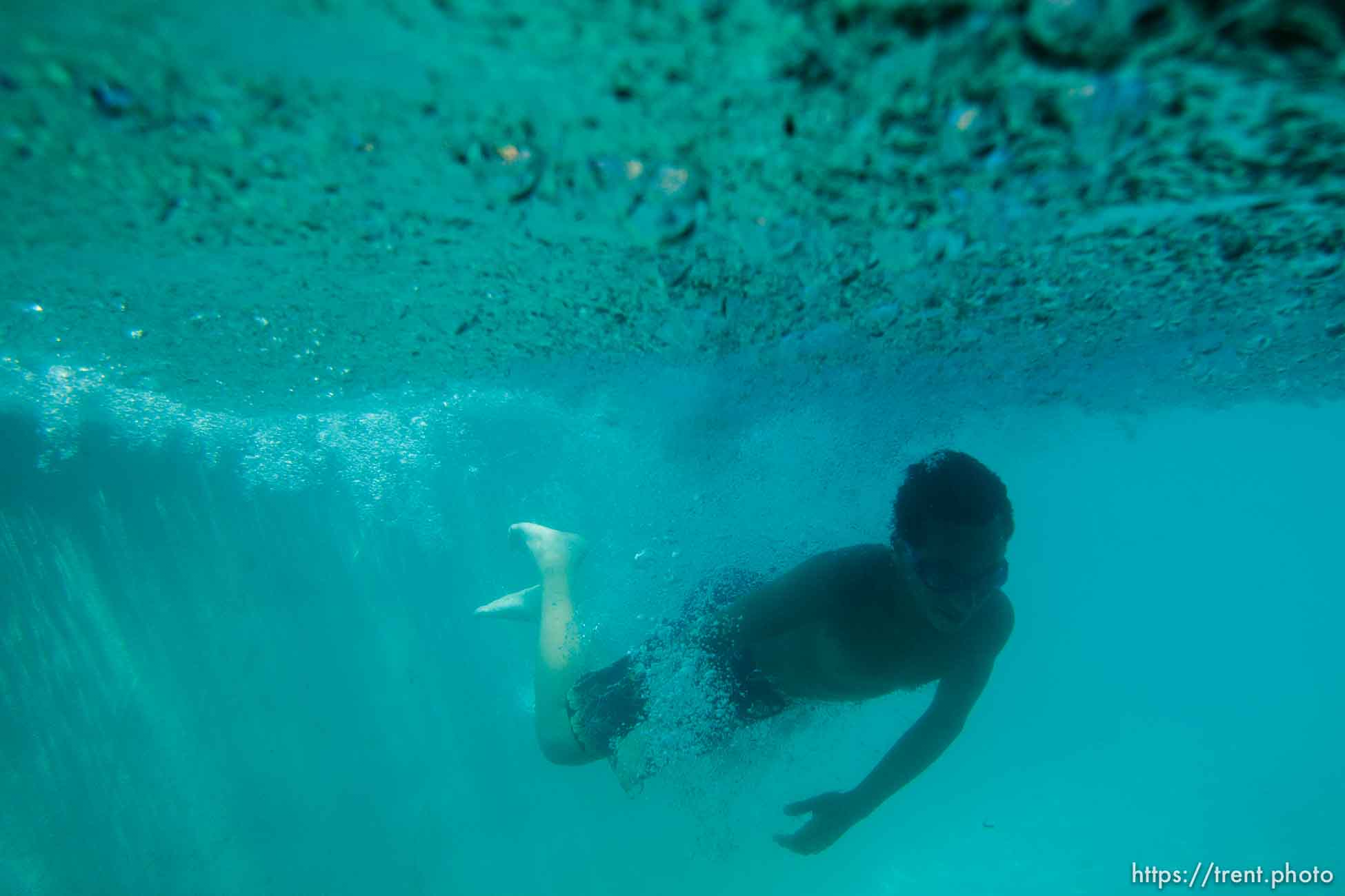 Canon EOS-1D Mark IV