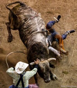 Trent Nelson  |  The Salt Lake Tribune Brennon Eldred loses control in the Bull Riding competition at the Days of '47 Rodeo at EnergySolutions Arena in Salt Lake City Saturday July 20, 2013.