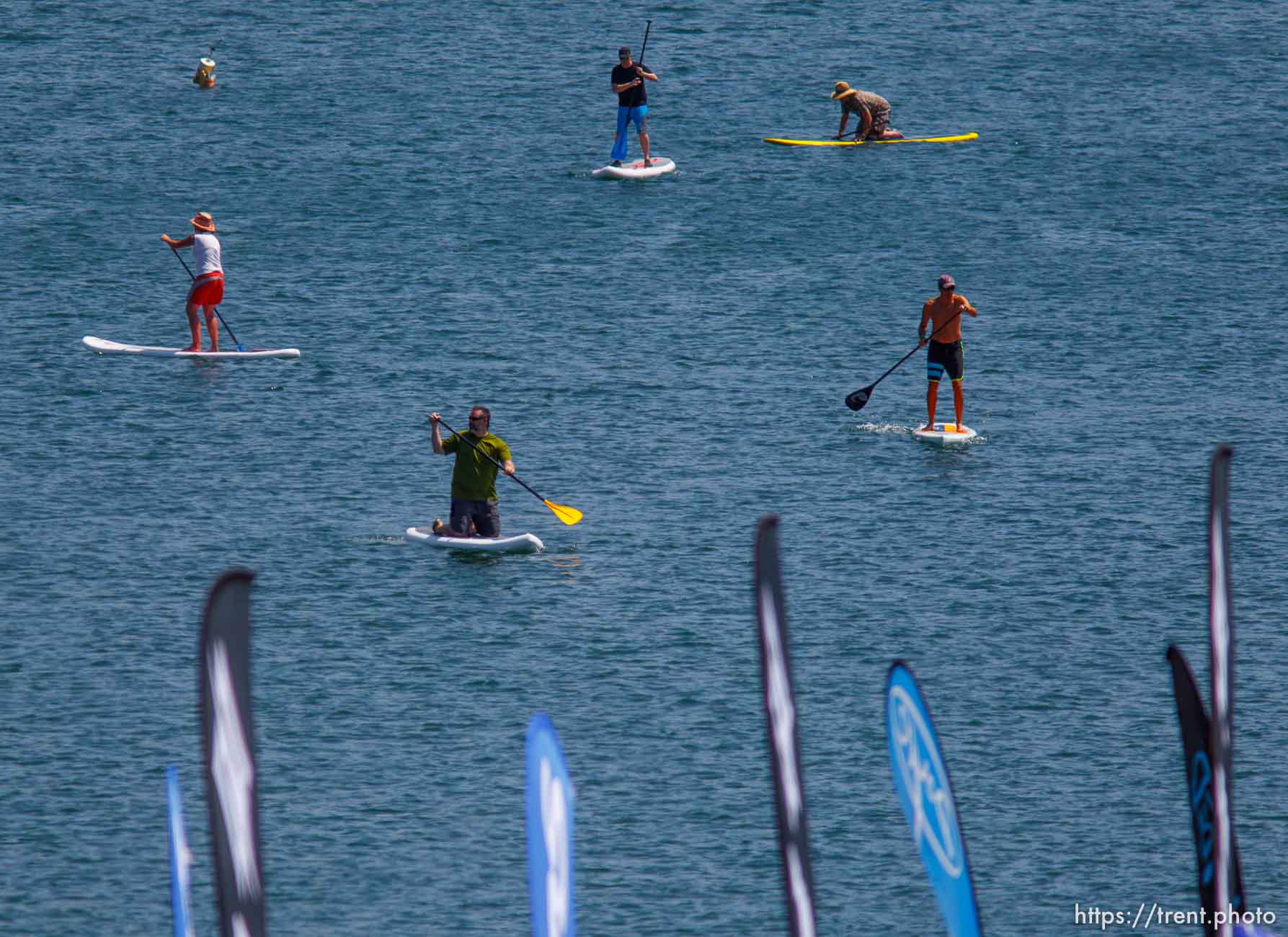 Canon EOS-1D Mark IV