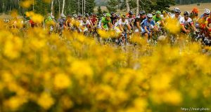 Trent Nelson  |  The Salt Lake Tribune Riders on SR-14 during stage one of the Tour of Utah at Brian Head Tuesday August 6, 2013.