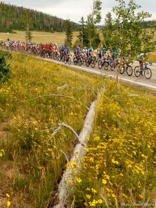 Trent Nelson  |  The Salt Lake Tribune Riders on SR-14 during stage one of the Tour of Utah at Brian Head Tuesday August 6, 2013.