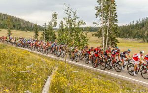 Trent Nelson  |  The Salt Lake Tribune Riders on SR-14 during stage one of the Tour of Utah at Brian Head Tuesday August 6, 2013.