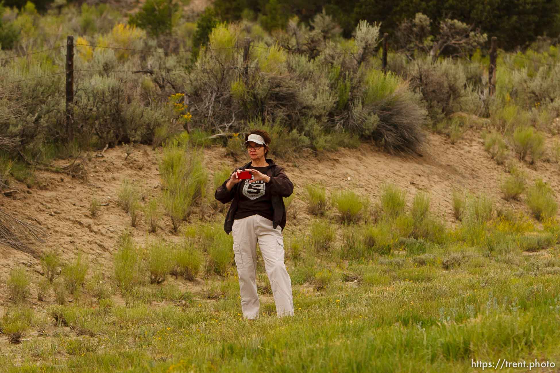 Canon EOS-1D Mark IV