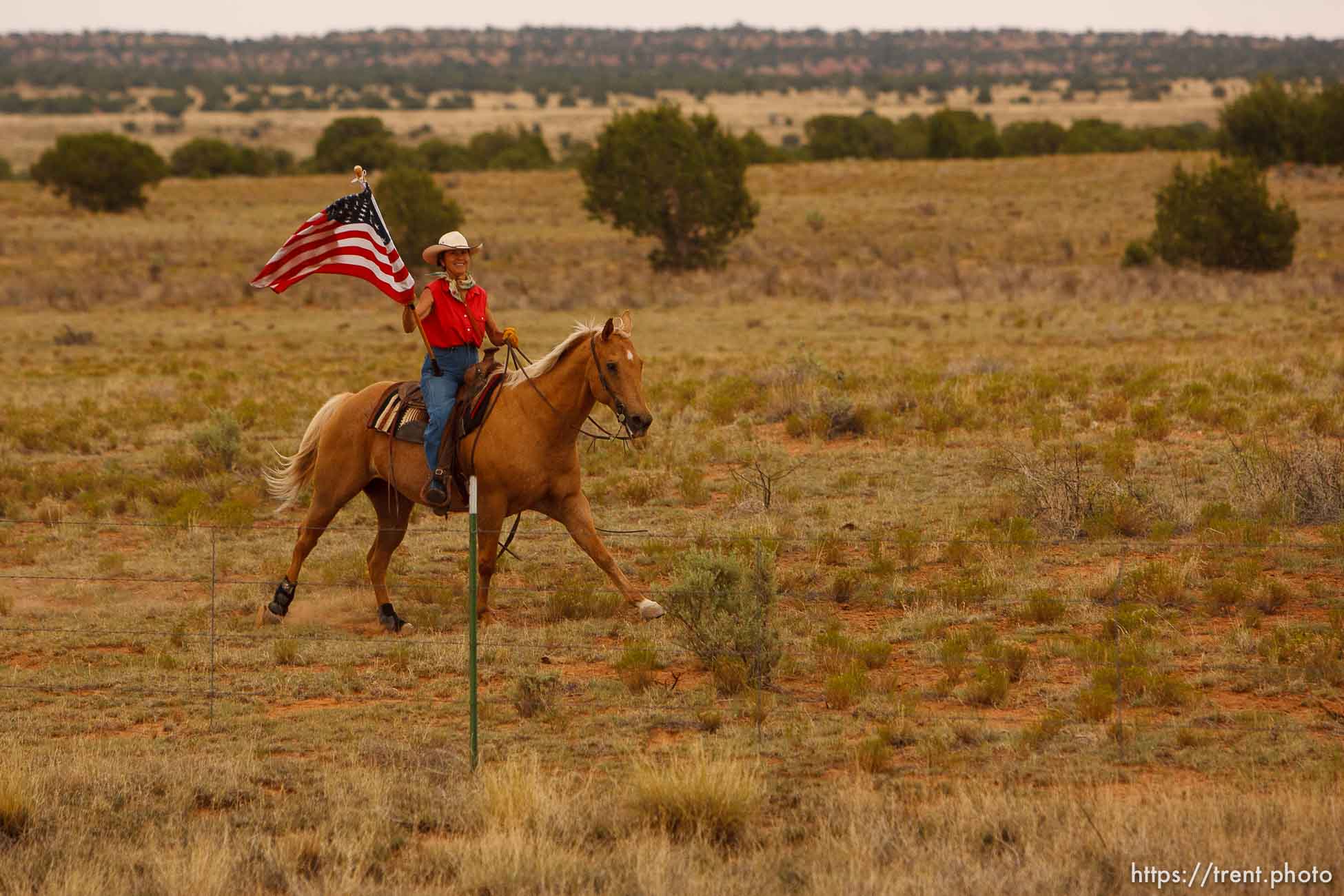 Canon EOS-1D Mark IV