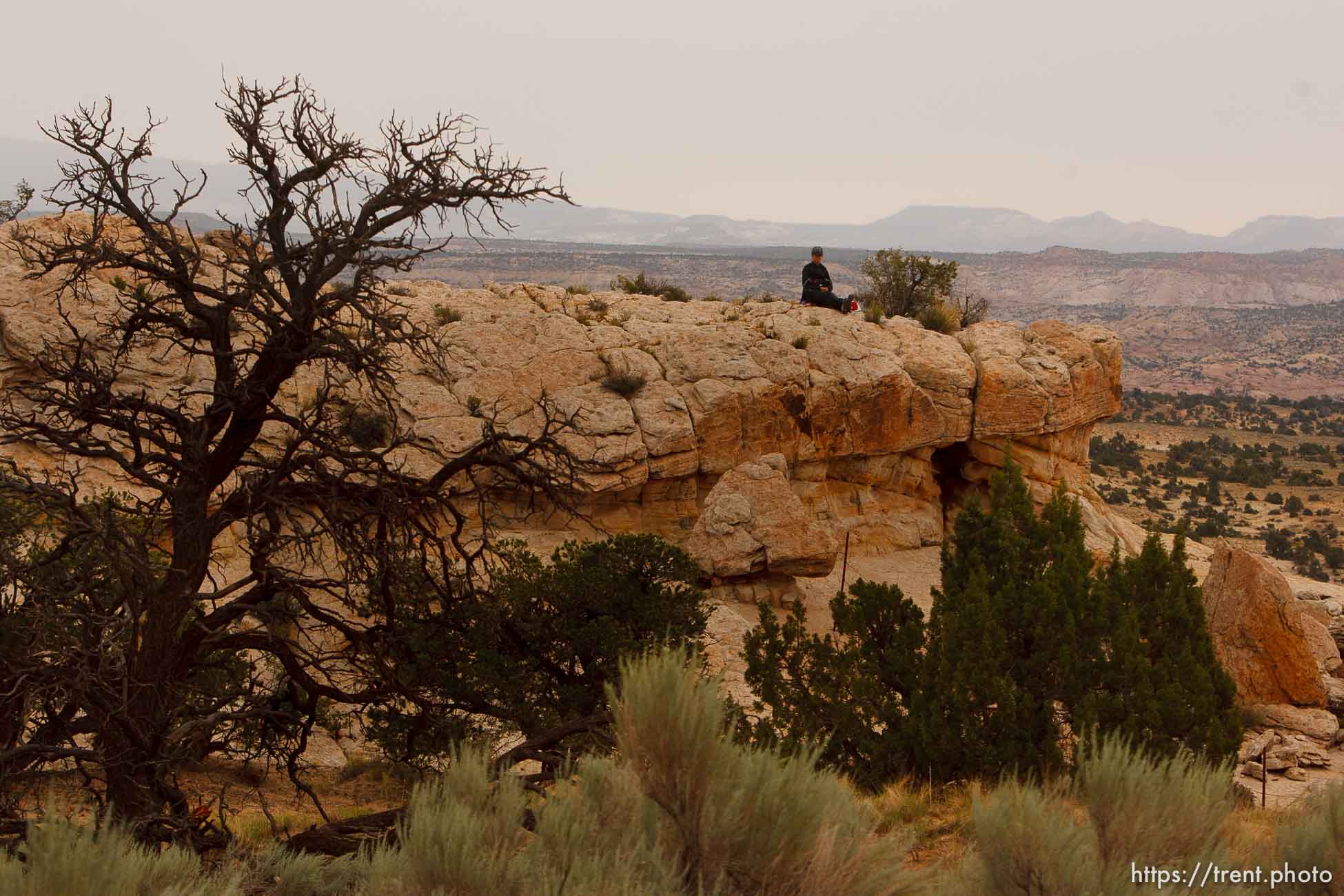 Canon EOS-1D Mark IV