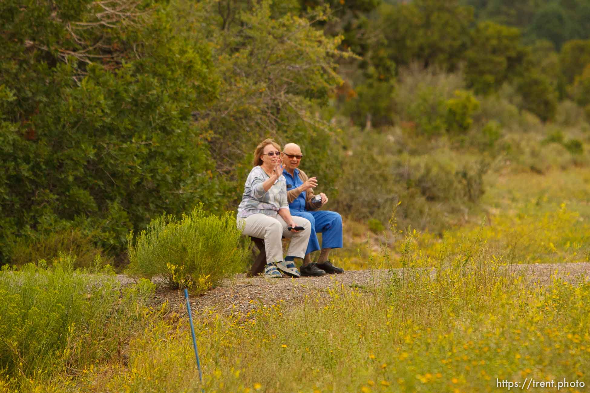 Canon EOS-1D Mark IV