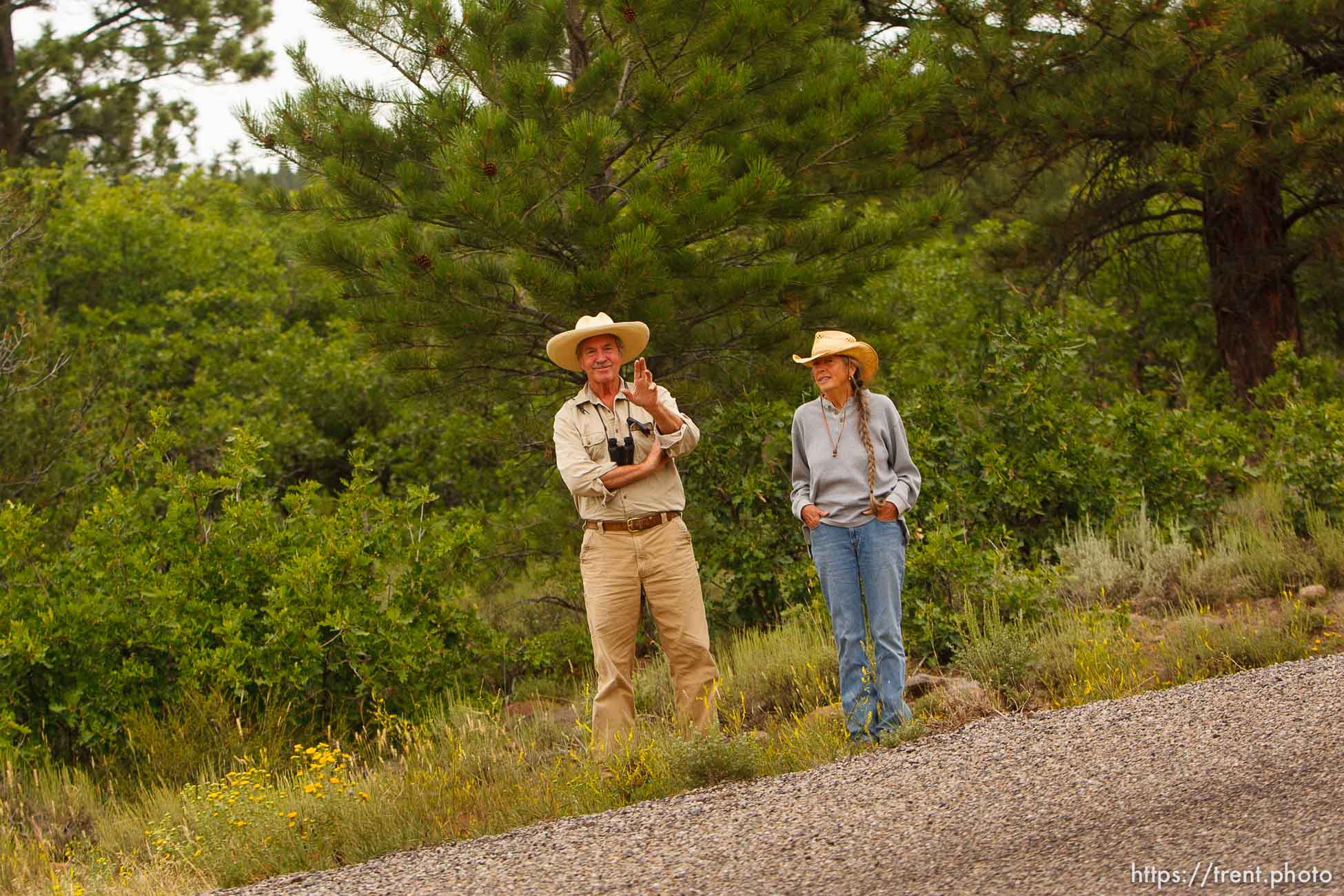 Canon EOS-1D Mark IV