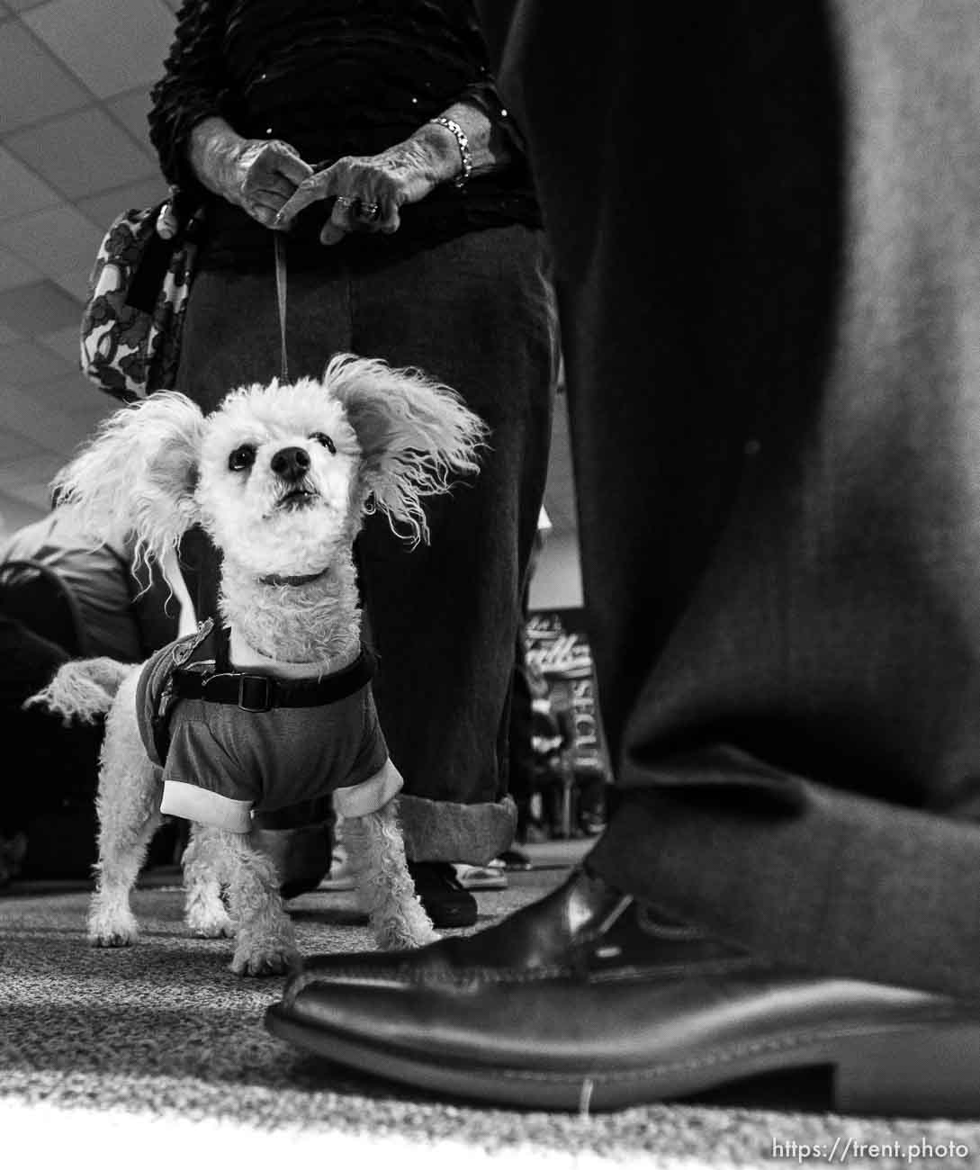 Canon EOS-1D Mark IV