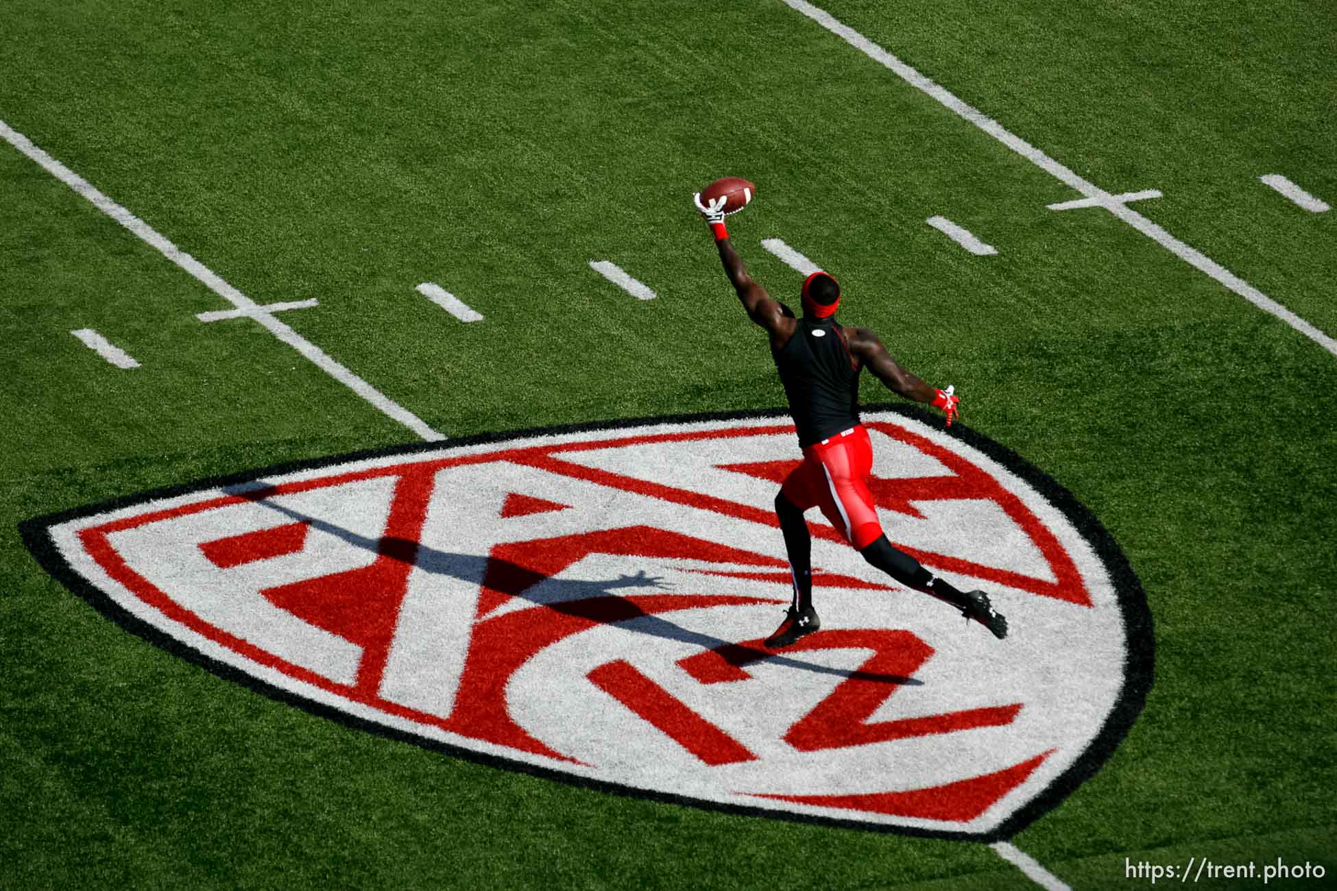 Canon EOS-1D Mark II N