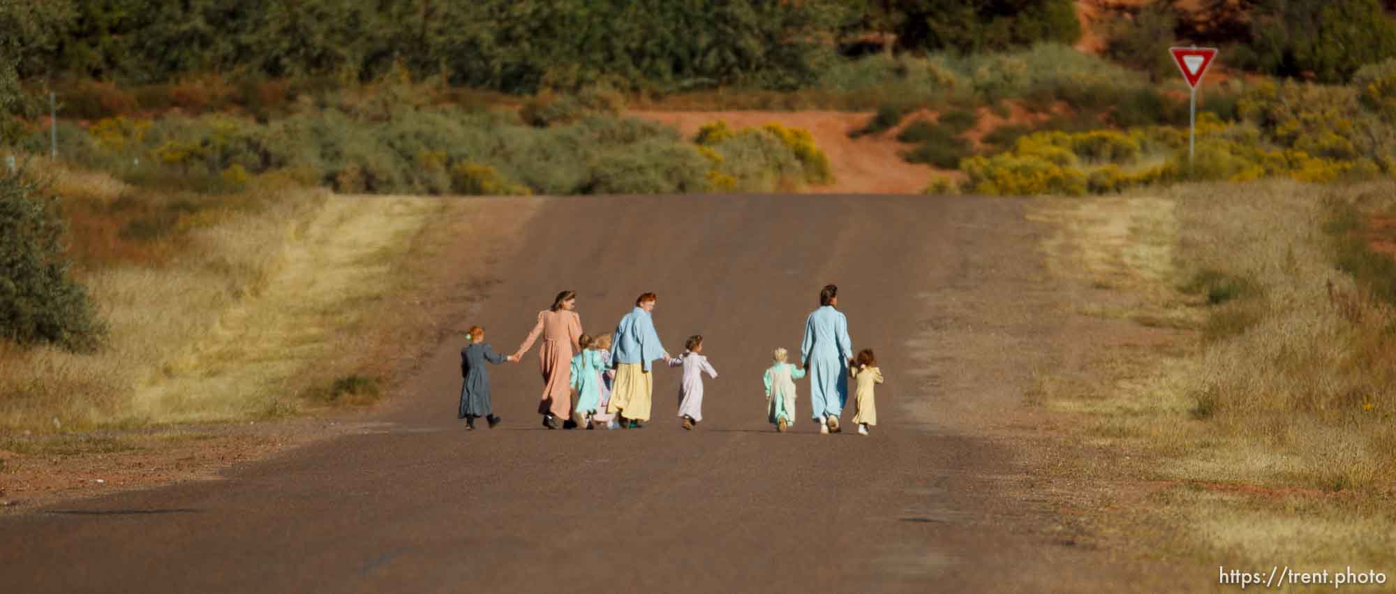 Canon EOS-1D Mark IV