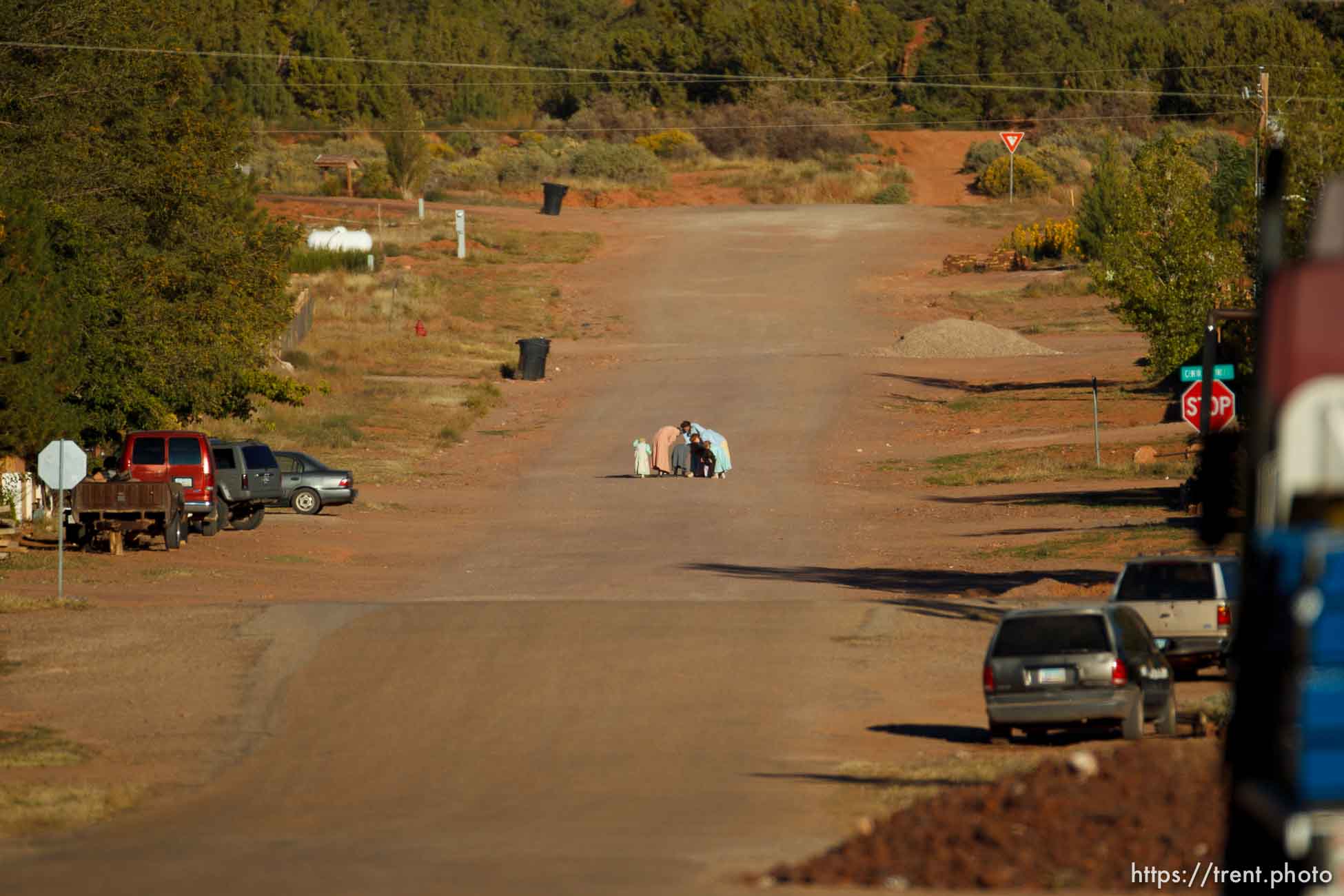 Polygamy in the American West