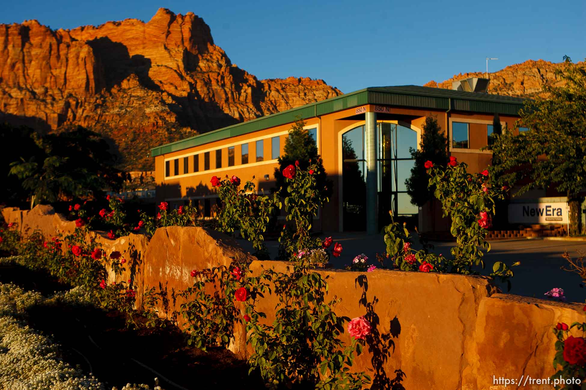 Canon EOS-1D Mark IV