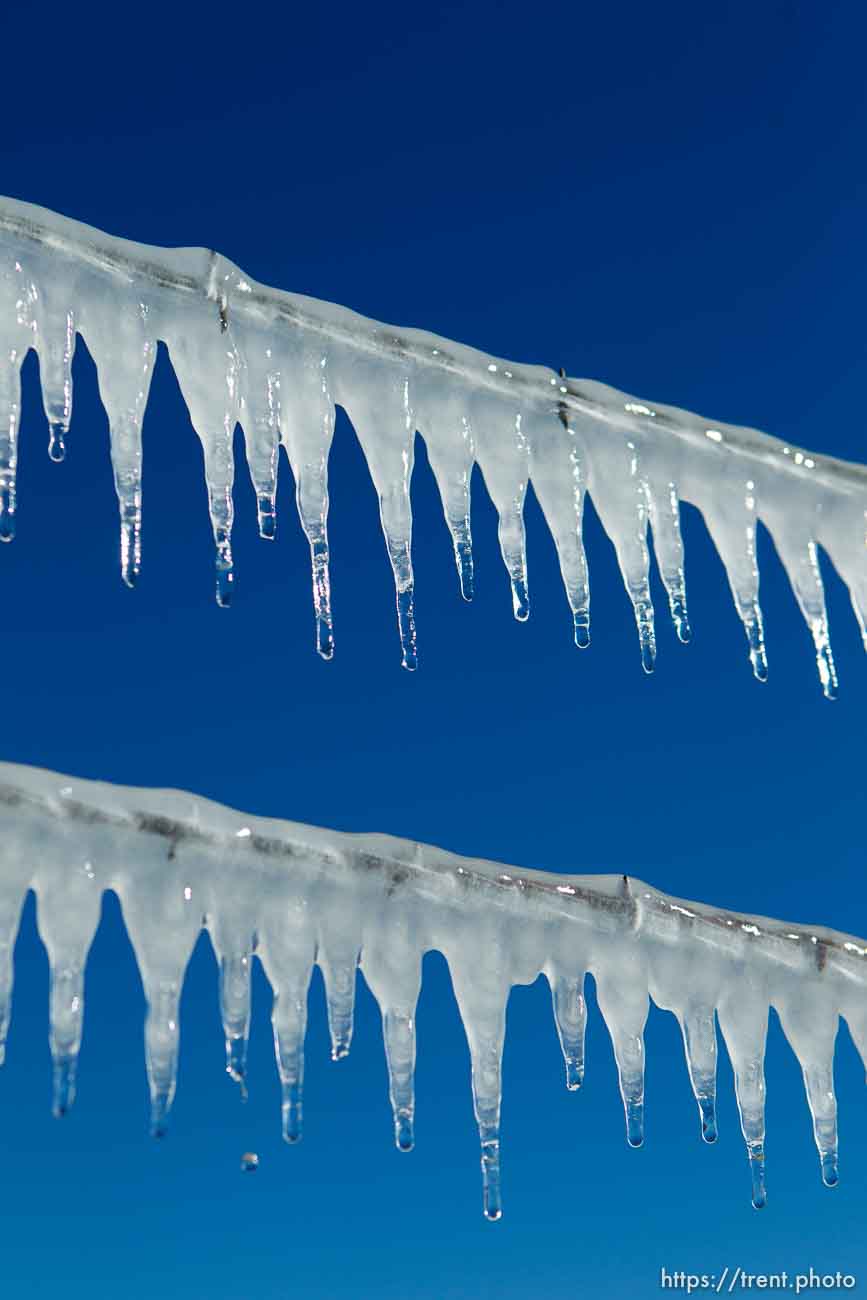 Canon EOS-1D Mark IV