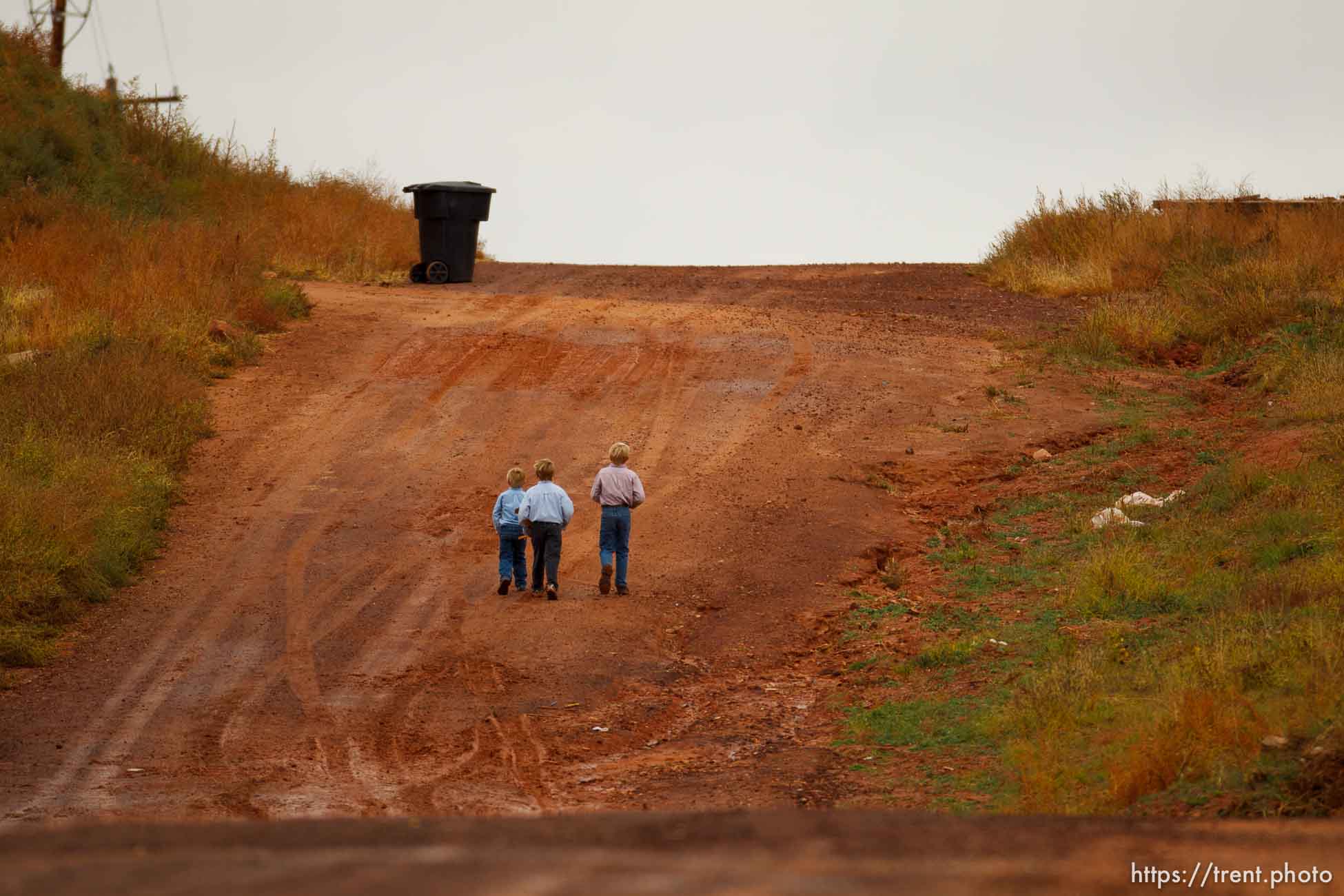 Canon EOS-1D Mark IV