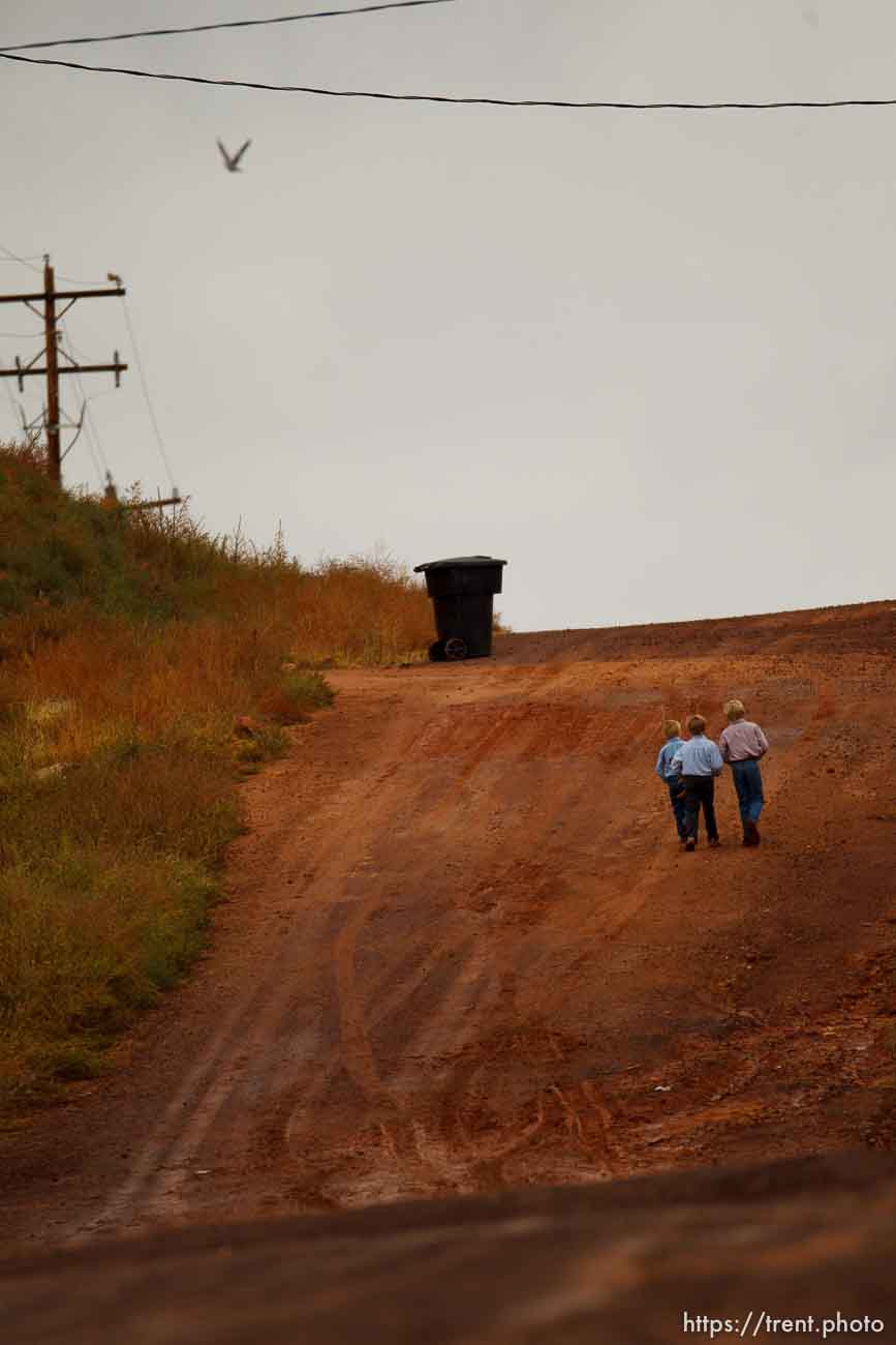 Canon EOS-1D Mark IV