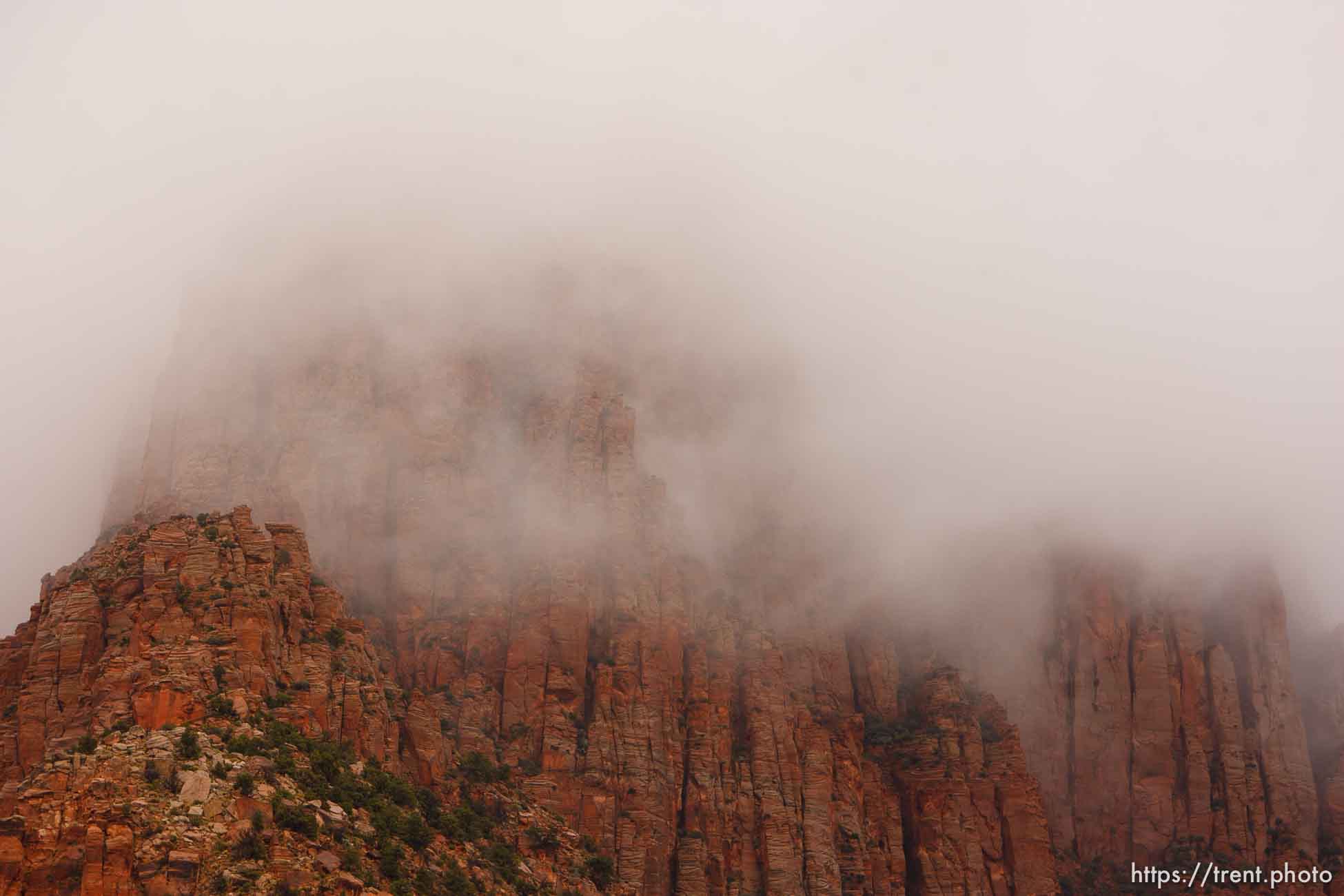 Canon EOS-1D Mark IV