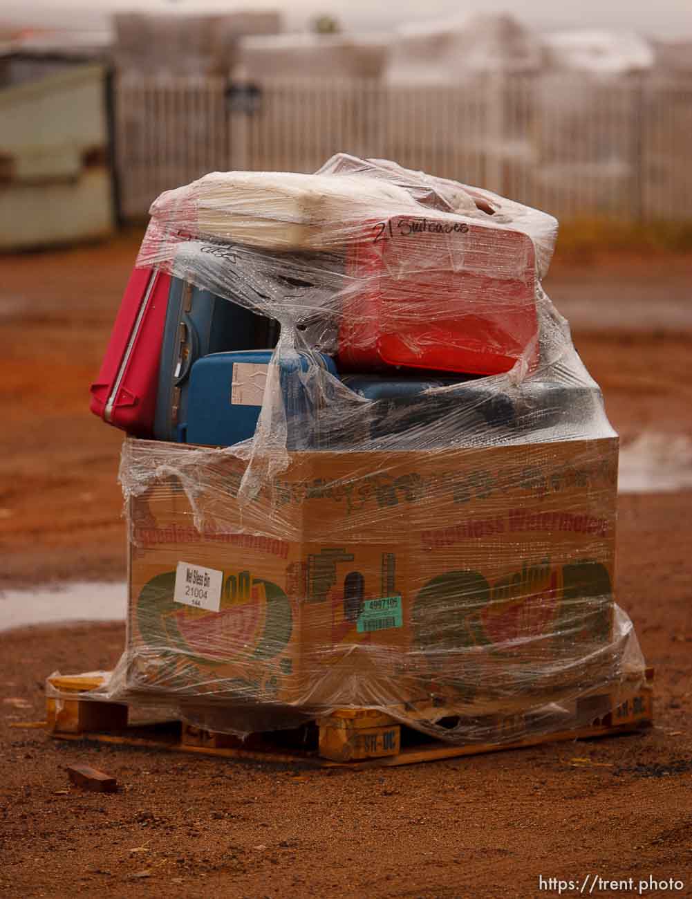 Canon EOS-1D Mark IV