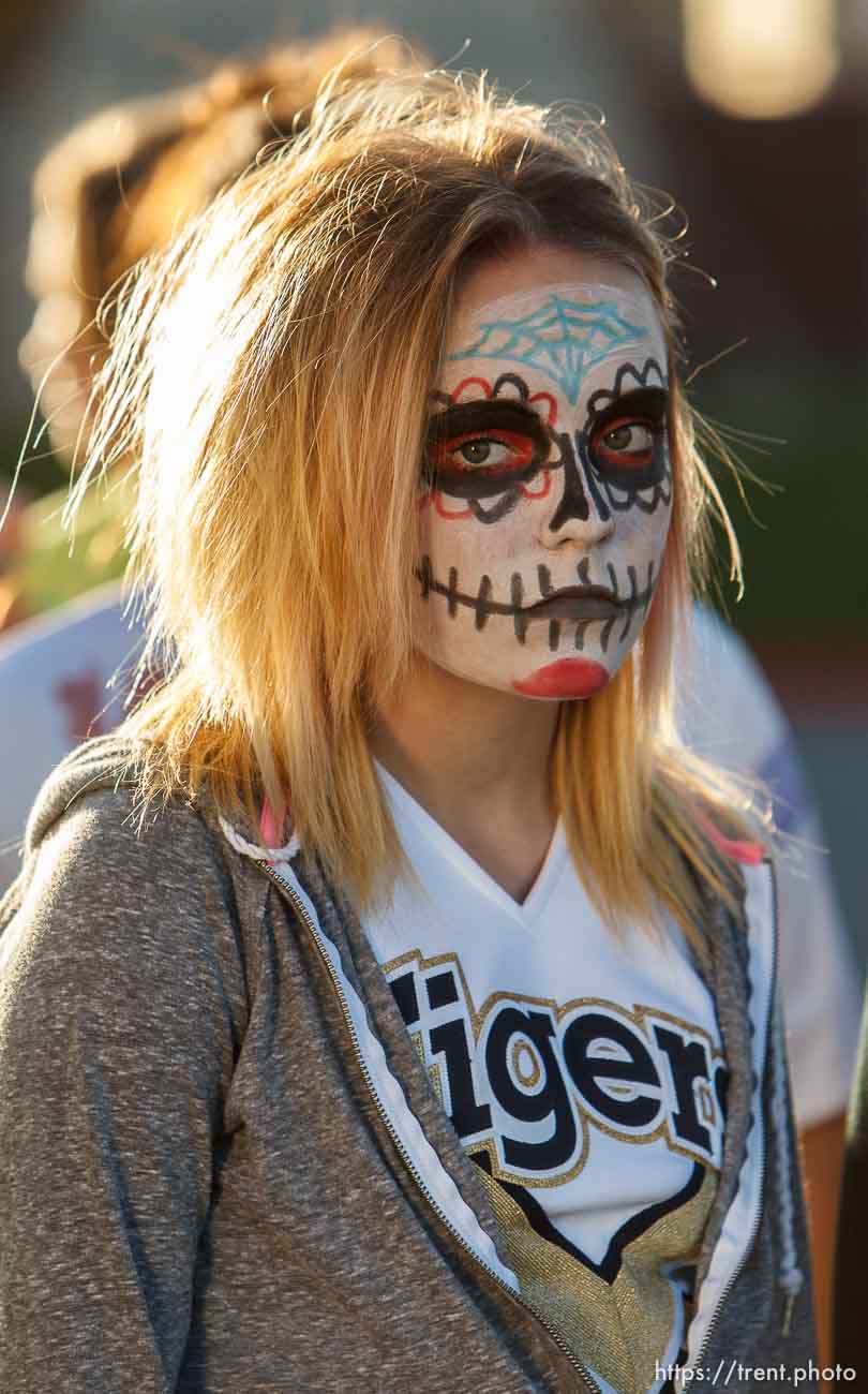 Canon EOS-1D Mark IV