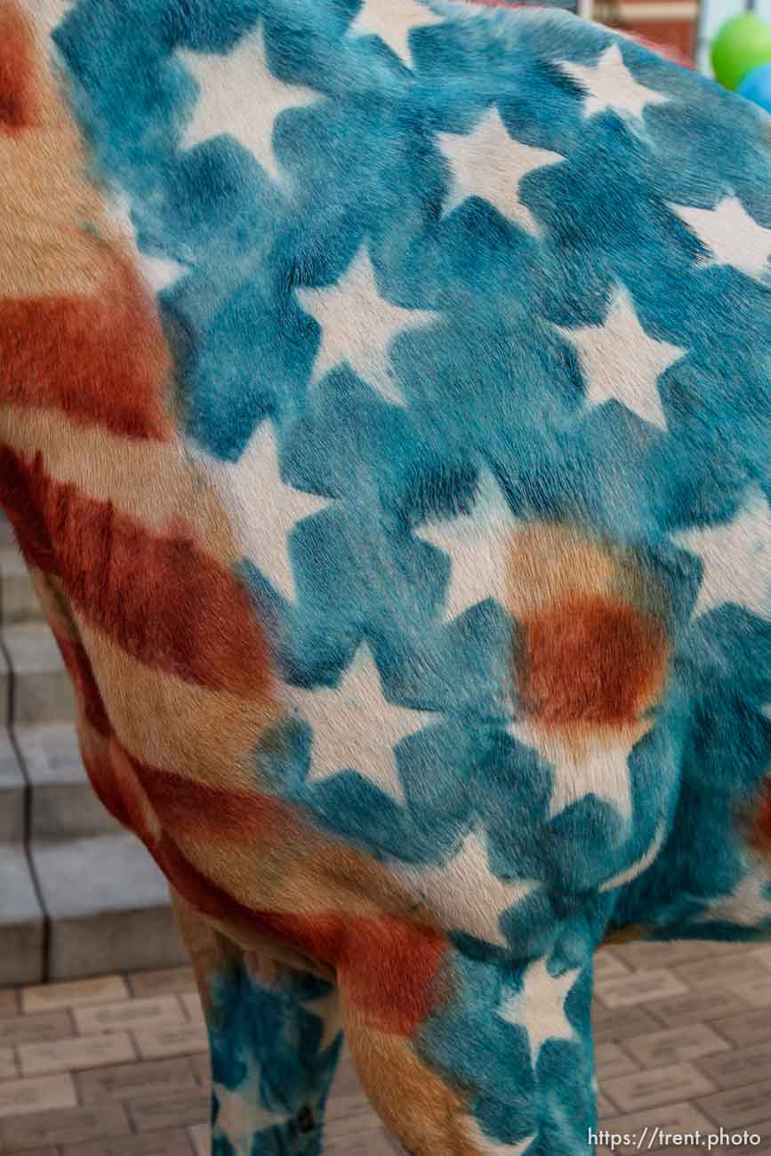 Canon EOS-1D Mark IV