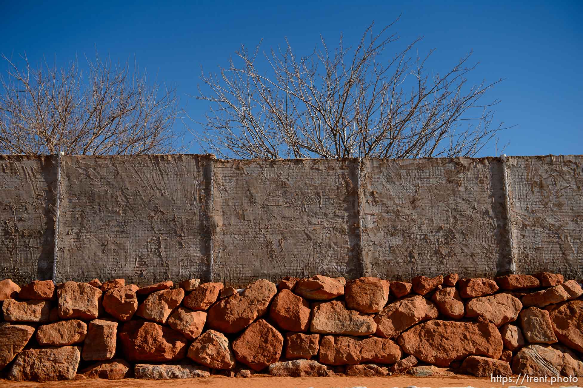 Polygamy in the American West