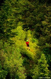 Trent Nelson  |  The Salt Lake Tribune Benjamin Bolton in flight at Max Zipline, in Provo Canyon, Saturday May 31, 2014.