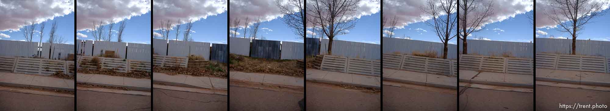 Polygamy in the American West