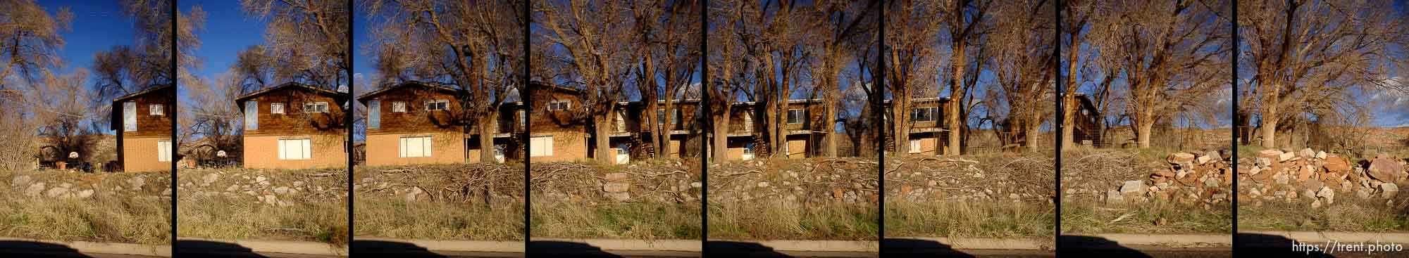 Polygamy in the American West