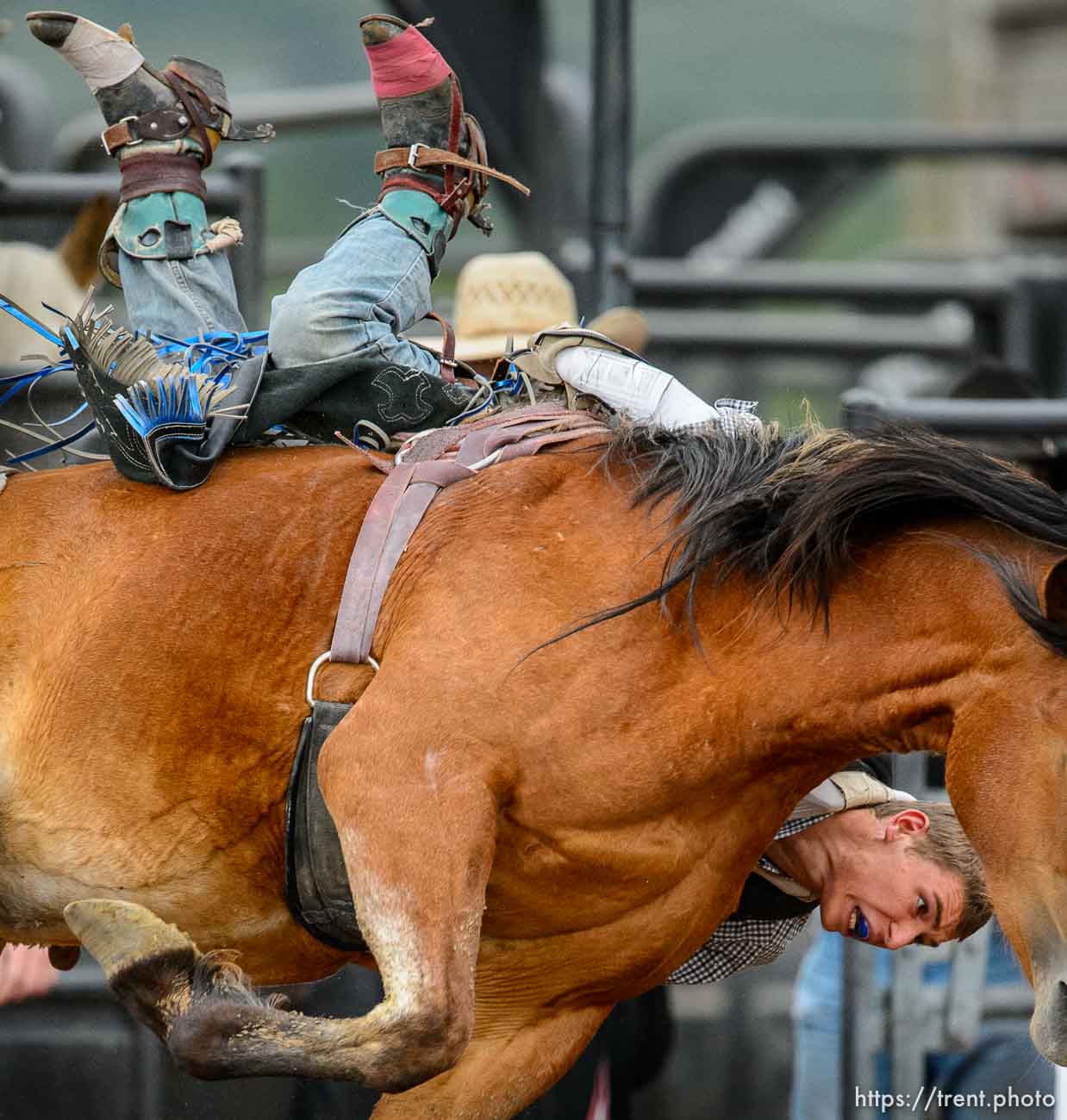 Utah High School Rodeo State Championships