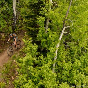 Trent Nelson  |  The Salt Lake Tribune A mountain biker at the Park City Mountain Resort, Saturday June 6, 2015.