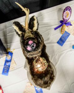 Trent Nelson  |  The Salt Lake Tribune Anastasia Bolinder's first place creation 