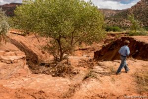 Trent Nelson  |  The Salt Lake Tribune The devastation in Hildale Tuesday September 15, 2015, the day after a flash flood killed nine people (with four still missing) when an SUV and a van were washed off a road during a flash flood in this polygamous Utah-Arizona border community.