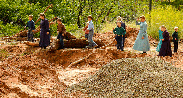 Polygamy in the American West