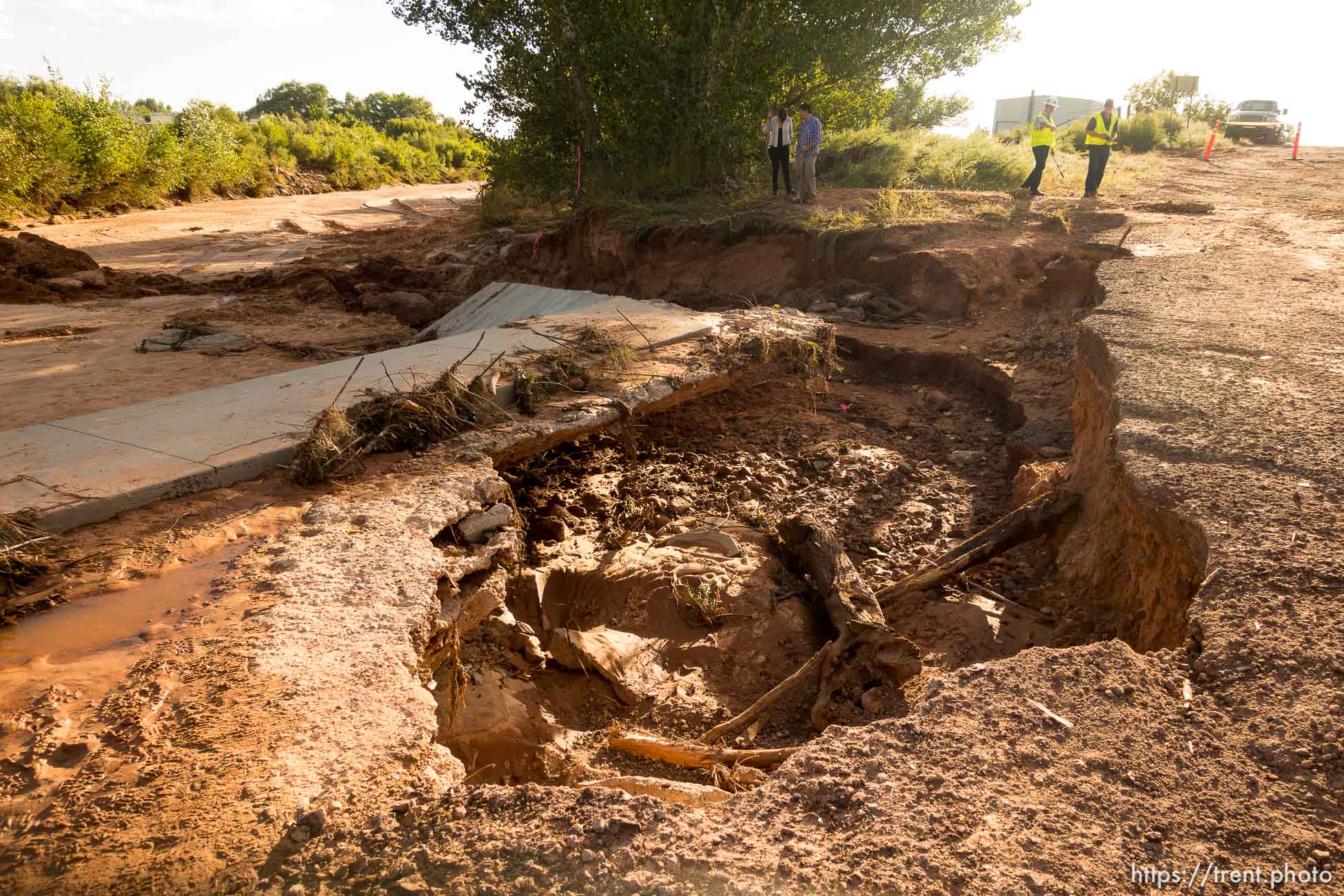 Polygamy in the American West