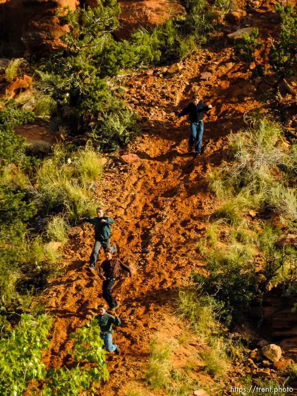 Polygamy in the American West