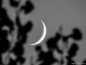 Crescent Moon