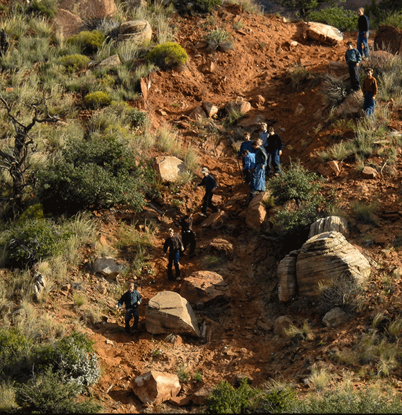 Polygamy in the American West