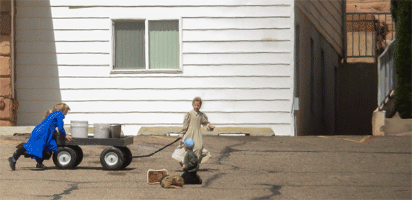 Polygamy in the American West