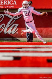 Trent Nelson  |  The Salt Lake Tribune Sky View's Tanner Stokes (20) celebrates a first half touchdown, as Sky View faces Herriman in a 5A high school football semifinal game at Rice-Eccles Stadium in Salt Lake City, Friday November 13, 2015.