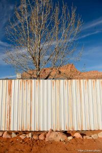 Trent Nelson  |  The Salt Lake Tribune wall and tree, in Hildale, Wednesday December 2, 2015.