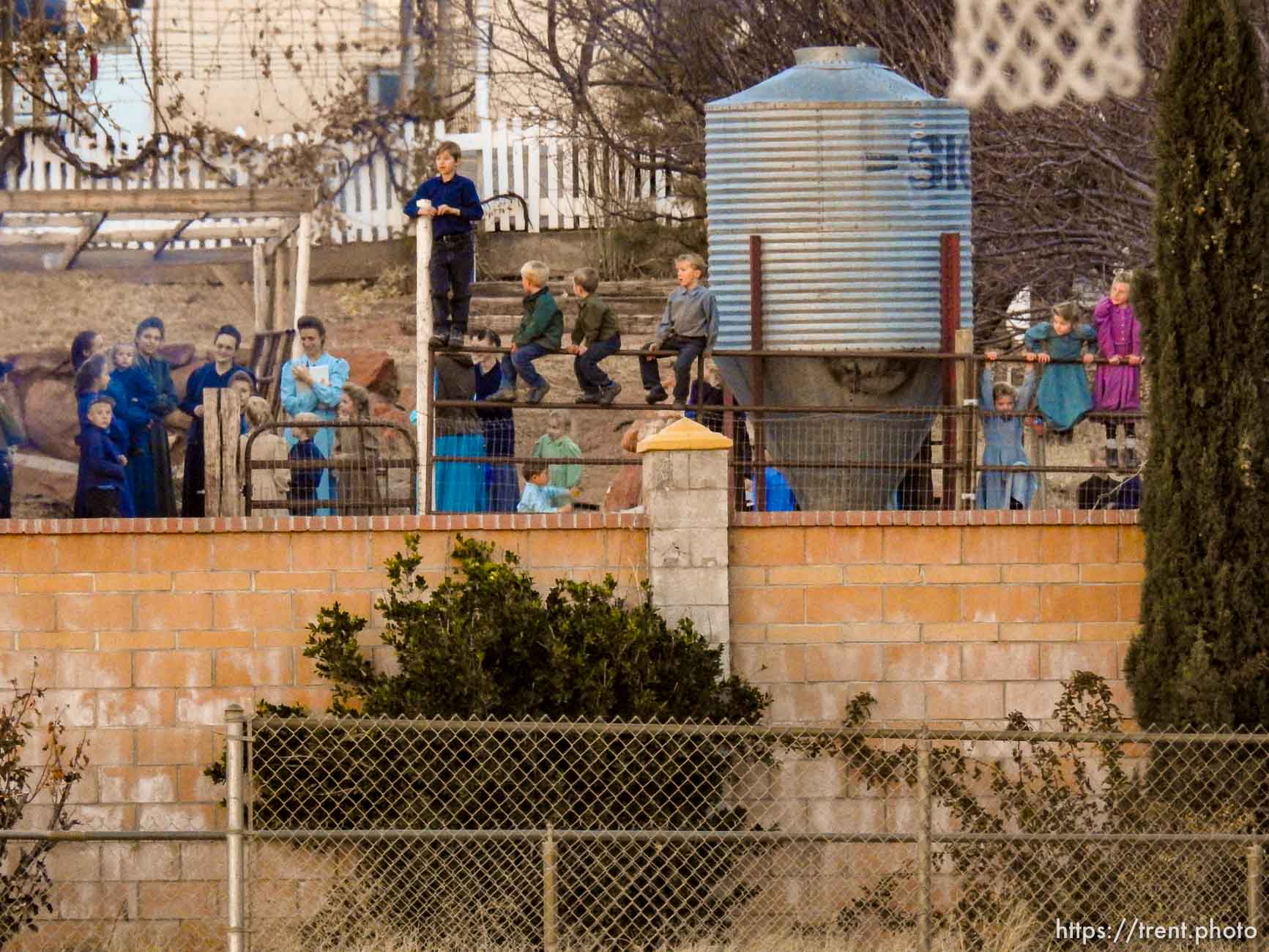 Polygamy in the American West