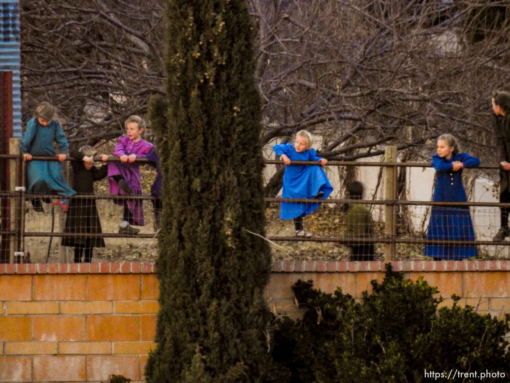 Polygamy in the American West