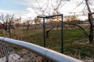 Trent Nelson  |  The Salt Lake Tribune Orchard near commercial property for sale by UEP, in Hildale, Wednesday December 2, 2015.