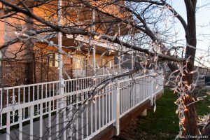 Trent Nelson  |  The Salt Lake Tribune Christmas lights, in Hildale, Wednesday December 2, 2015.