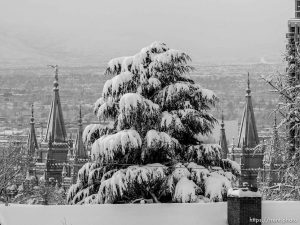 Trent Nelson  |  The Salt Lake Tribune lds temple, Snowfall in Salt Lake City, Tuesday December 15, 2015.